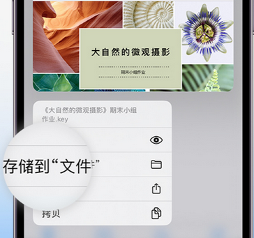 苏尼特右apple维修中心分享iPhone文件应用中存储和找到下载文件