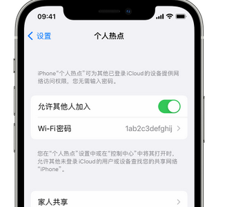 苏尼特右apple服务站点分享iPhone上个人热点丢失了怎么办 