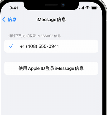 苏尼特右apple维修iPhone上无法正常发送iMessage信息 