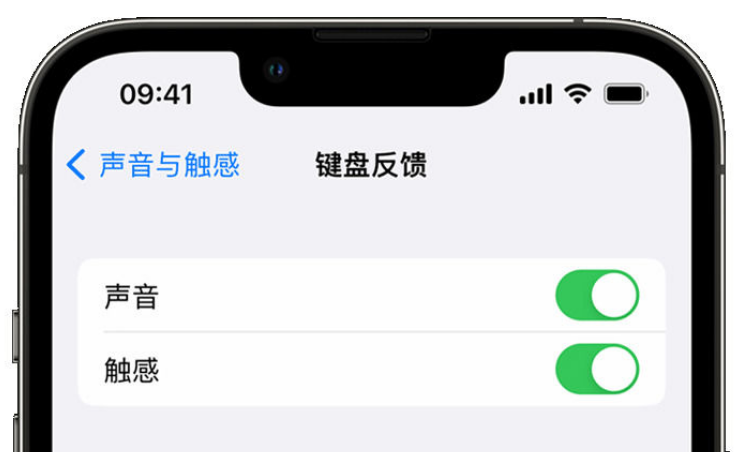 苏尼特右苹果手机维修分享iPhone 14触感键盘使用方法 