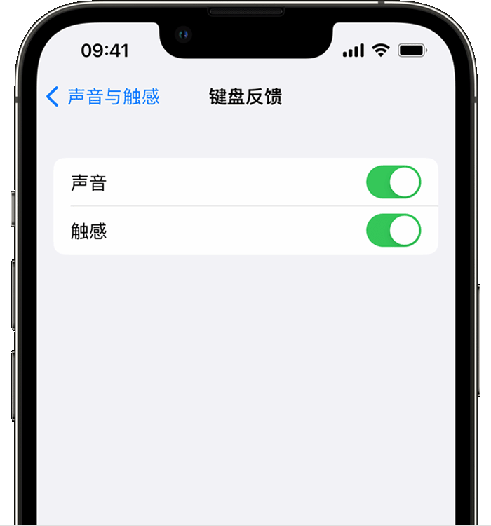 苏尼特右苹果14维修店分享如何在 iPhone 14 机型中使用触感键盘 