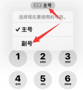 苏尼特右苹果14维修店分享iPhone 14 Pro Max使用副卡打电话的方法 