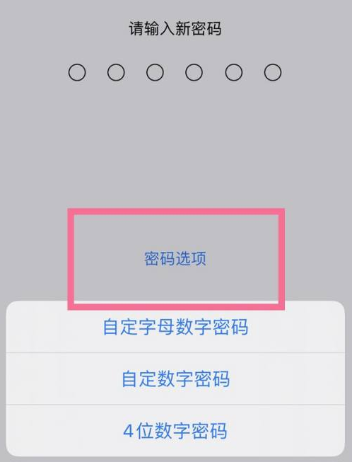 苏尼特右苹果14维修分享iPhone 14plus设置密码的方法 