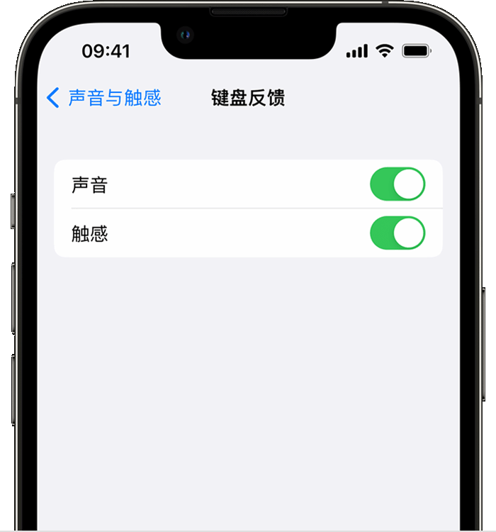 苏尼特右苹果14维修分享iPhone 14 系列机型如何开启键盘声音或触感反馈 