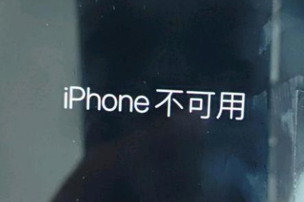 苏尼特右苹果服务网点分享锁屏界面显示“iPhone 不可用”如何解决 