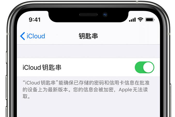 苏尼特右苹果手机维修分享在 iPhone 上开启 iCloud 钥匙串之后会储存哪些信息 