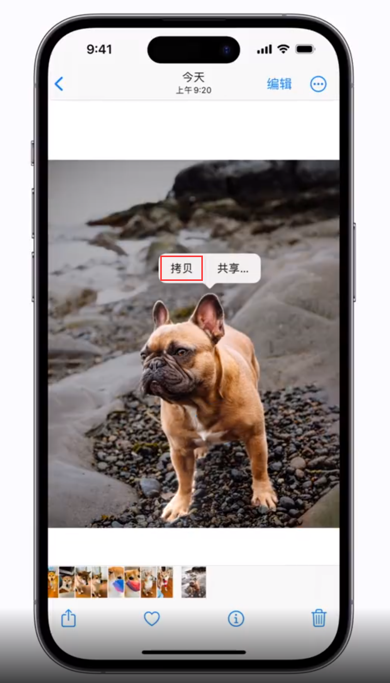 苏尼特右苹果手机维修分享 iOS 16 自带一键抠图功能 