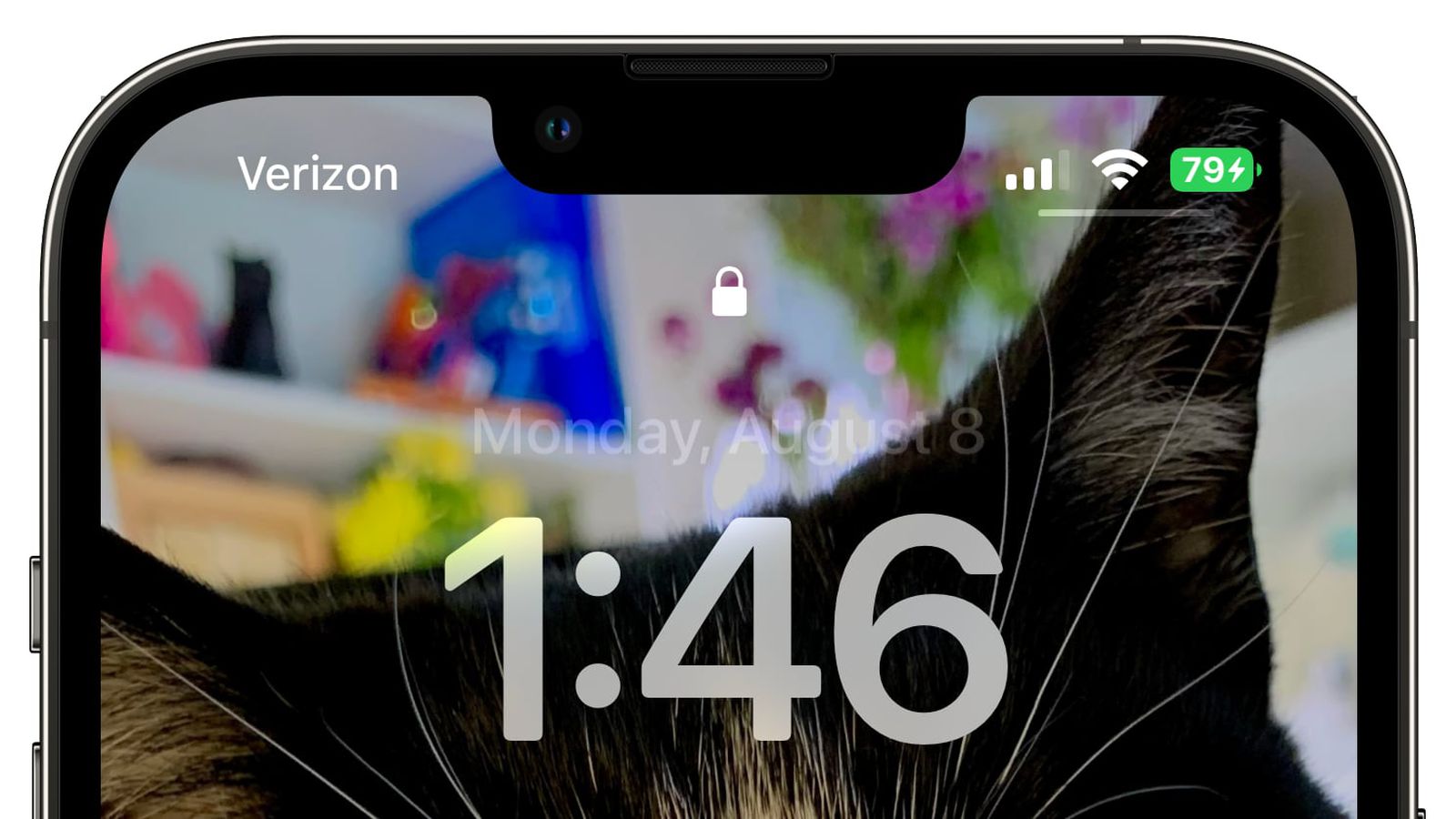 苏尼特右苹果手机维修分享iOS 16 beta 5 支持状态栏显示电池百分比，如何开启？支持哪些机型 