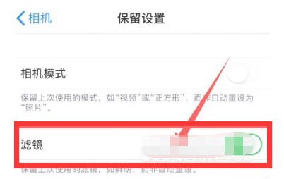 苏尼特右苹果13维修分享iPhone13拍照有绿点是怎么回事 