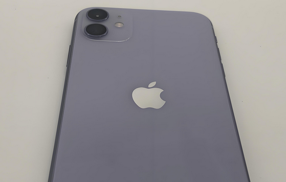 苏尼特右苹果11系统维修分享iPhone11手机系统崩溃无法开机如何解决 